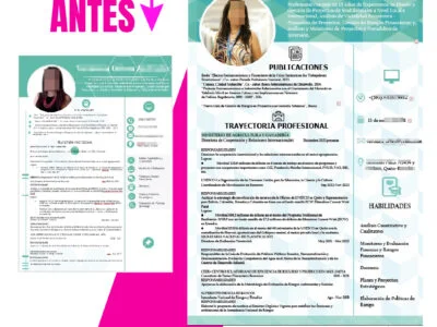 Diseño de curriculums Profesionales